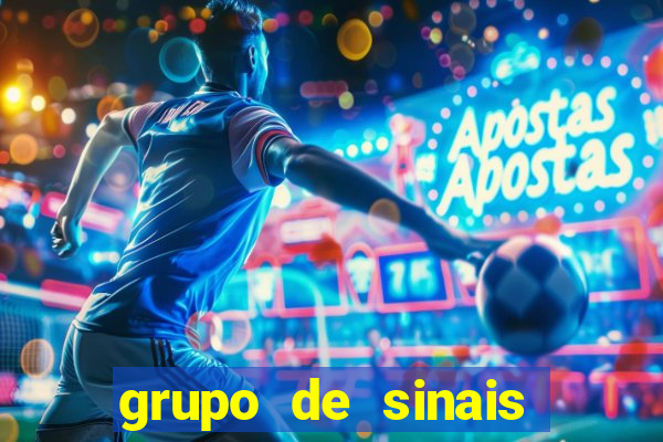 grupo de sinais trader telegram